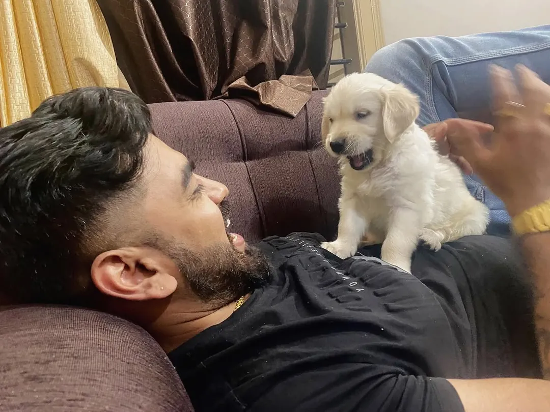 Puppy Dexter standing on Rahul, who is lying on the sofa laughing.