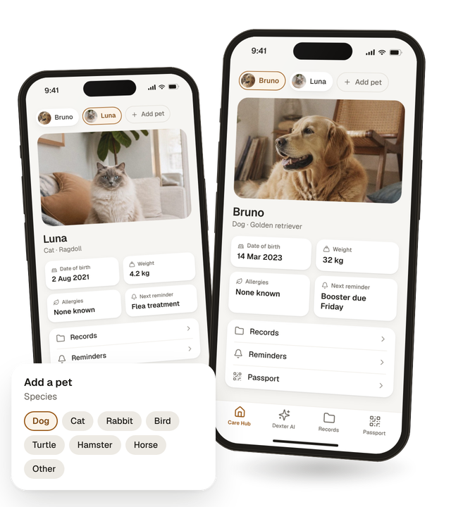 Two Dexter pet profiles, Bruno the golden retriever and Luna the cat, with a pet switcher and the species you can add.